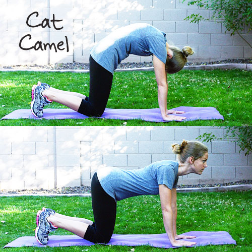 Inspired RD Exercise Library: Cat/Camel
