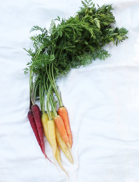 Rainbow Carrot Quinoa Salad via InspiredRD.com