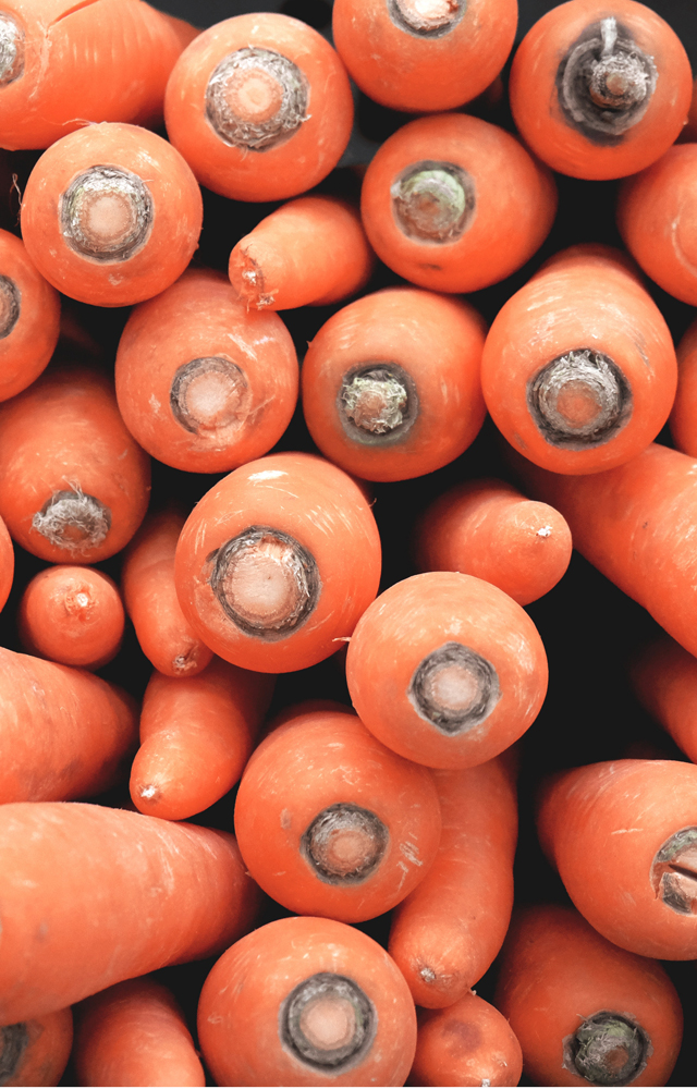 Quick Pickled Carrots with Garlic and Dill Inspired RD