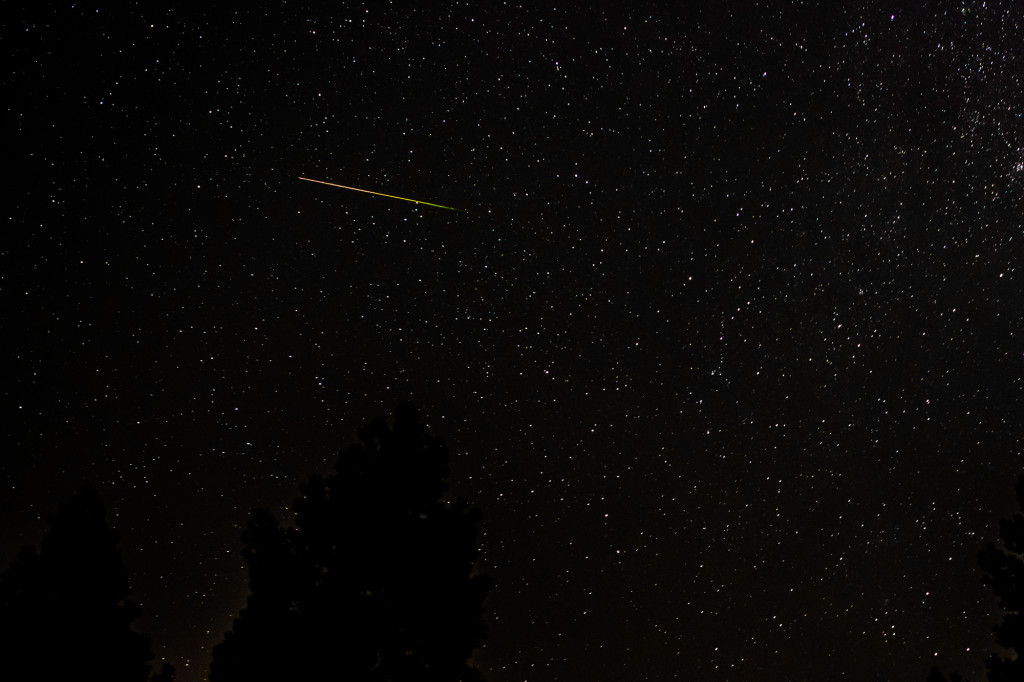 Perseid Meteor Shower