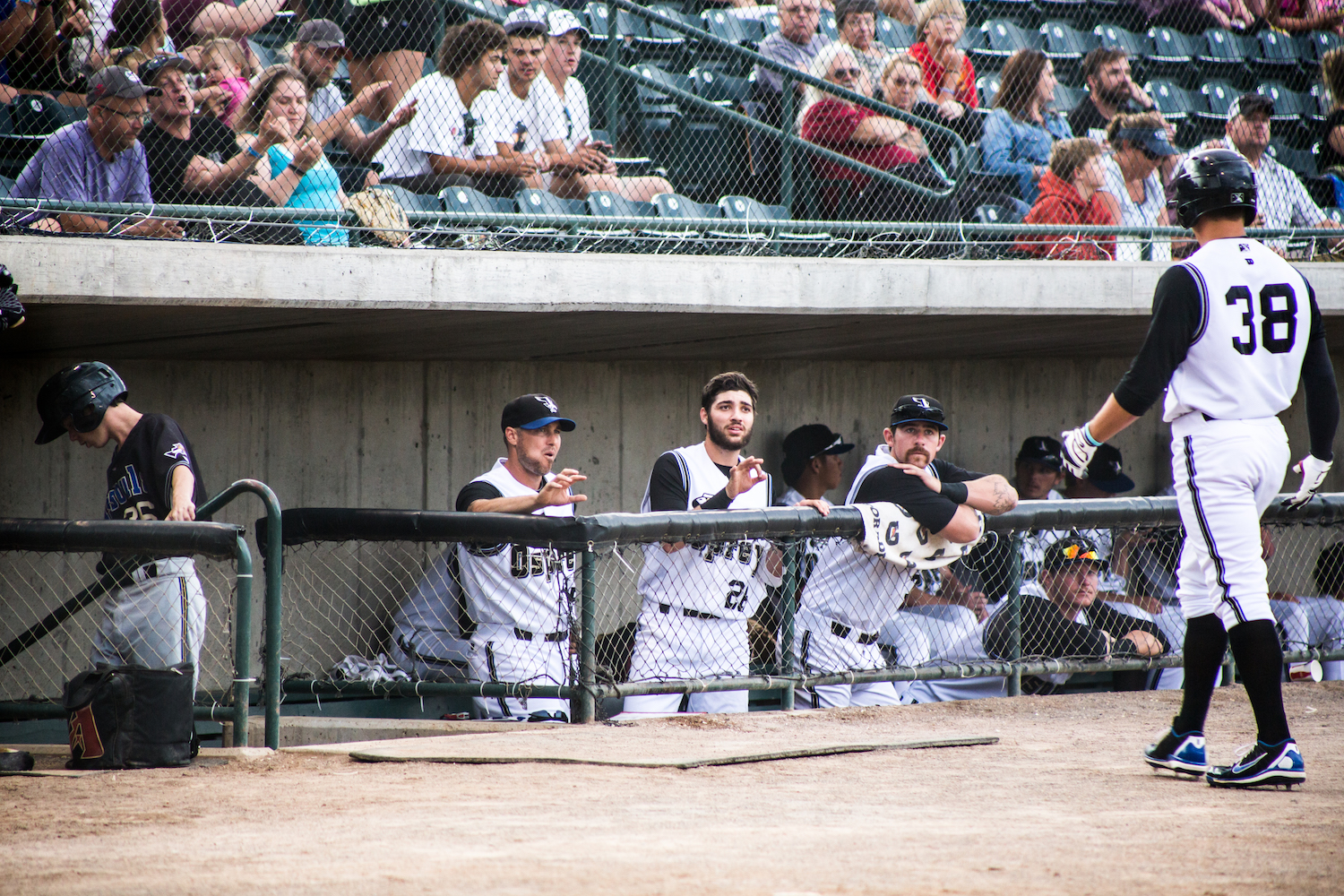 Life as a Baseball Family